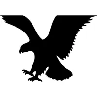 American Eagle Outfitters logo
