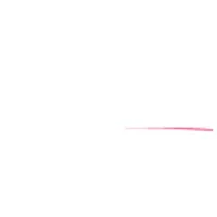 AutoNation logo