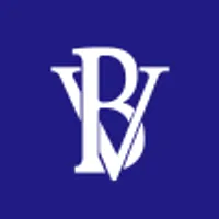 BV Financial logo