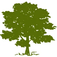 Community Health Systems logo