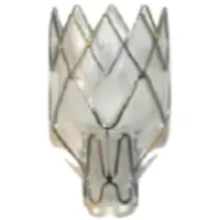 Pulmonx logo