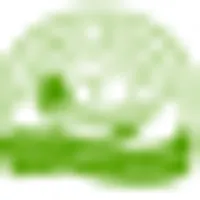 Natures Sunshine Products logo