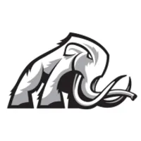 Mammoth Energy Services logo